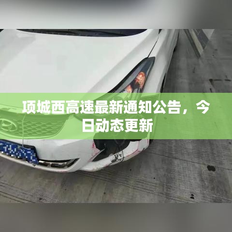 项城西高速最新通知公告,今日动态更新
