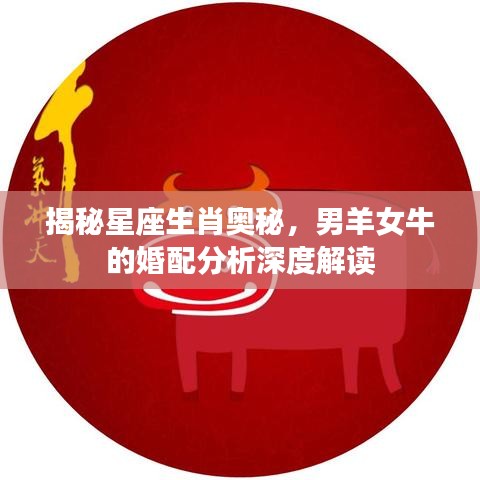 衣不完采 第2页