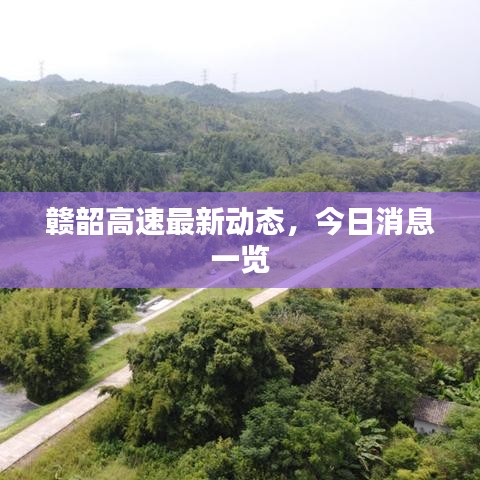 赣韶高速最新动态，今日消息一览