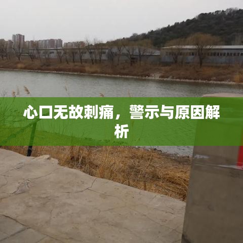 心口无故刺痛，警示与原因解析