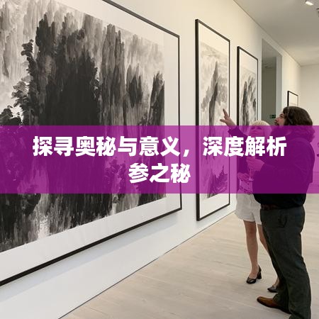 探寻奥秘与意义，深度解析参之秘