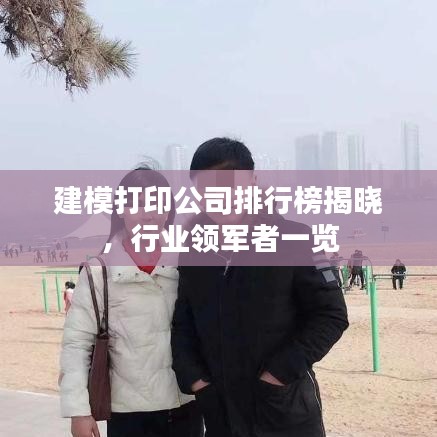 建模打印公司排行榜揭晓，行业领军者一览