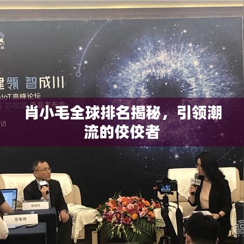 肖小毛全球排名揭秘，引领潮流的佼佼者