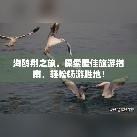 炊粱跨卫 第2页