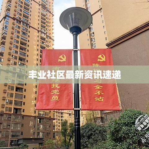 丰业社区最新资讯速递