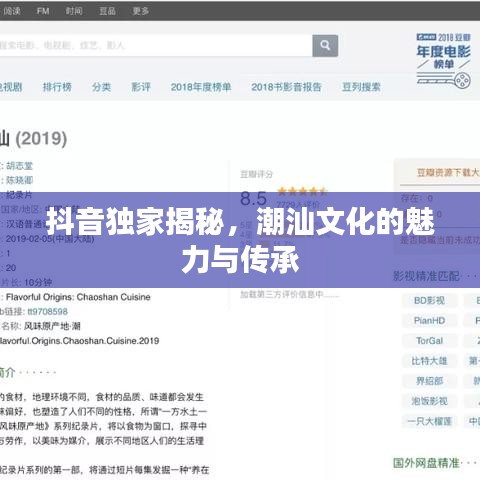 抖音独家揭秘,潮汕文化的魅力与传承