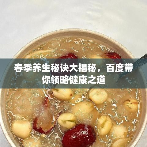 春季养生秘诀大揭秘，百度带你领略健康之道