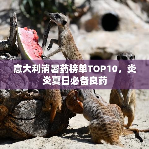 意大利消暑药榜单TOP10,炎炎夏日必备良药