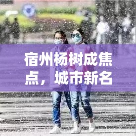 宿州杨树成焦点，城市新名片亮相新闻头条