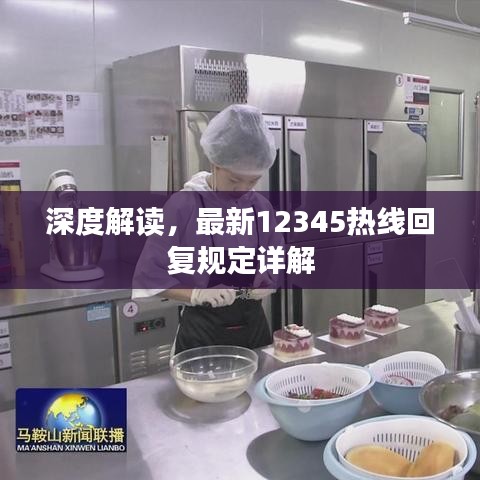 深度解读,最新12345热线回复规定详解