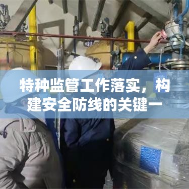 特种监管工作落实,构建安全防线的关键一环