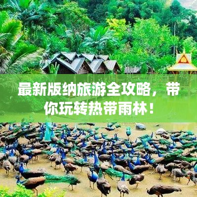 最新版纳旅游全攻略，带你玩转热带雨林！