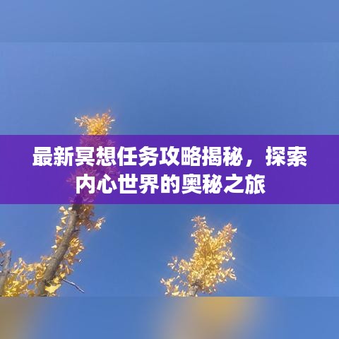 最新冥想任务攻略揭秘，探索内心世界的奥秘之旅
