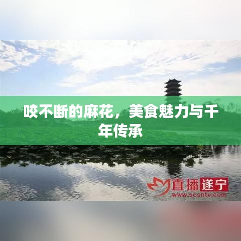 咬不断的麻花,美食魅力与千年传承