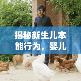 揭秘新生儿本能行为，婴儿为何频繁抓手探索世界？