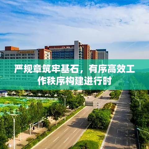 严规章筑牢基石，有序高效工作秩序构建进行时