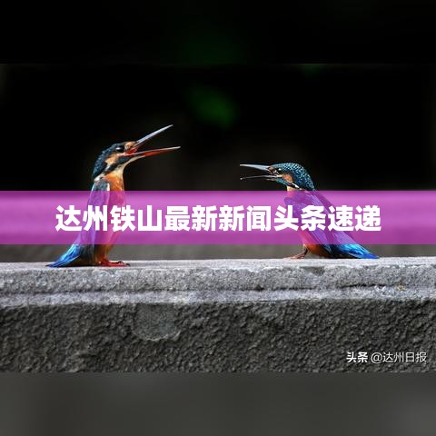 达州铁山最新新闻头条速递