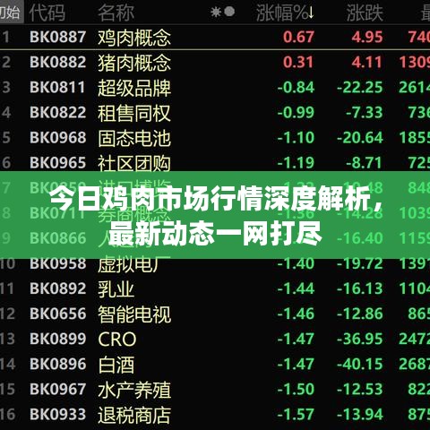 今日鸡肉市场行情深度解析，最新动态一网打尽