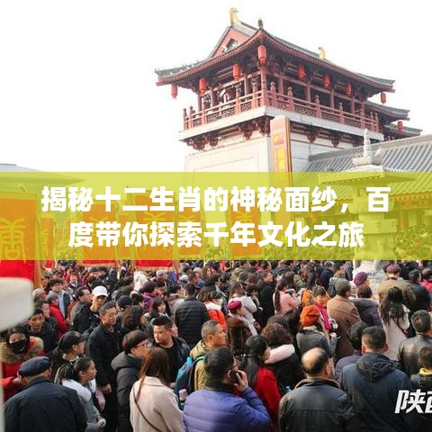 揭秘十二生肖的神秘面纱，百度带你探索千年文化之旅