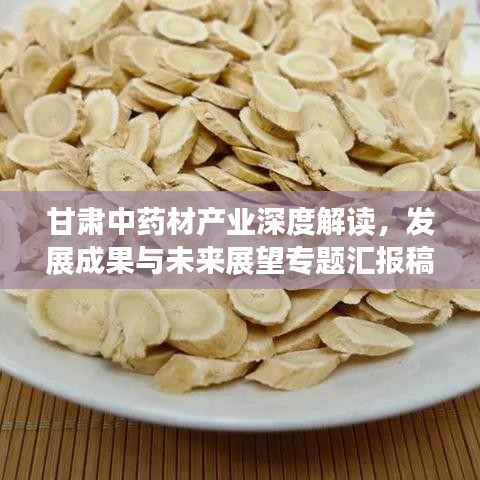 甘肃中药材产业深度解读，发展成果与未来展望专题汇报稿