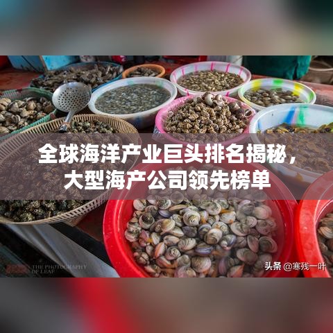 全球海洋产业巨头排名揭秘,大型海产公司领先榜单