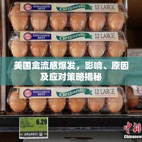 美国禽流感爆发,影响、原因及应对策略揭秘