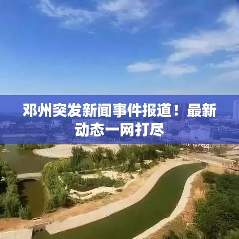 金石为开 第3页