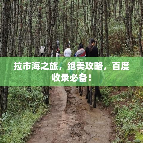 拉市海之旅，绝美攻略，百度收录必备！