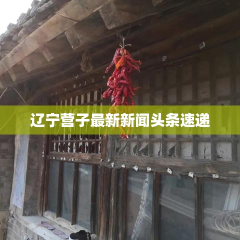 辽宁营子最新新闻头条速递