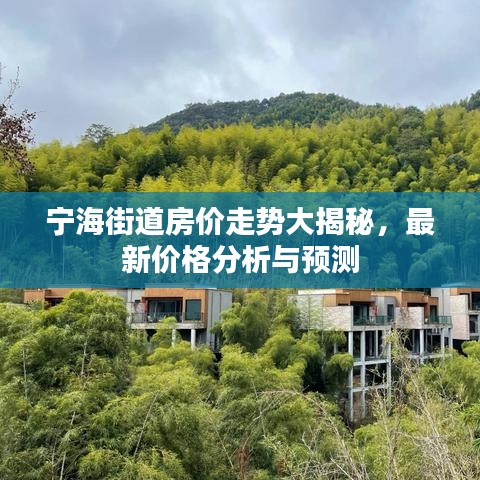 宁海街道房价走势大揭秘，最新价格分析与预测