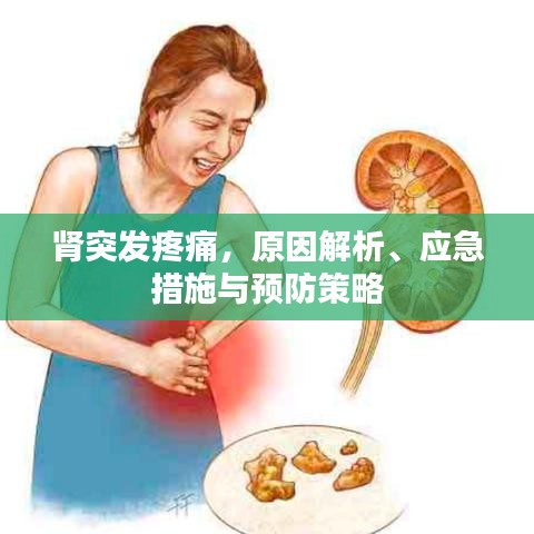 肾突发疼痛，原因解析、应急措施与预防策略