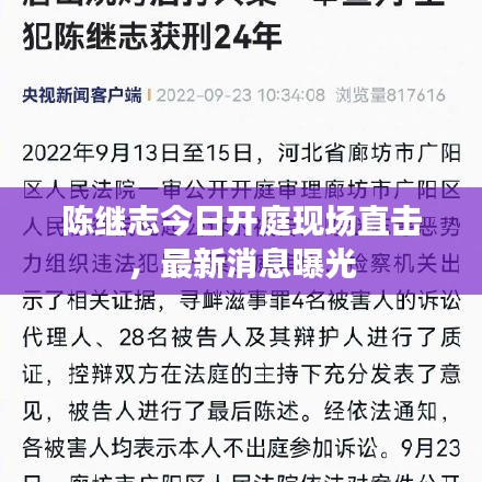 陈继志今日开庭现场直击，最新消息曝光