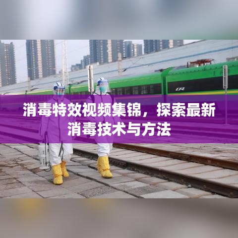 消毒特效视频集锦,探索最新消毒技术与方法