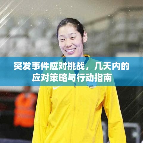 突发事件应对挑战，几天内的应对策略与行动指南