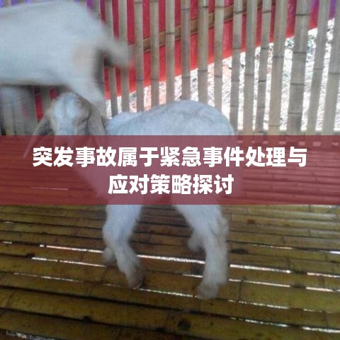 突发事故属于紧急事件处理与应对策略探讨