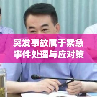 突发事故属于紧急事件处理与应对策略探讨