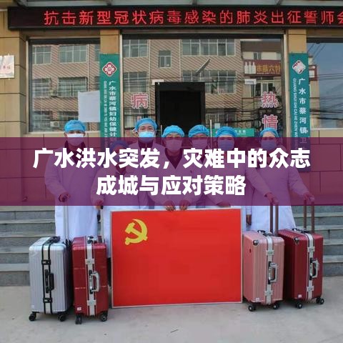 广水洪水突发，灾难中的众志成城与应对策略