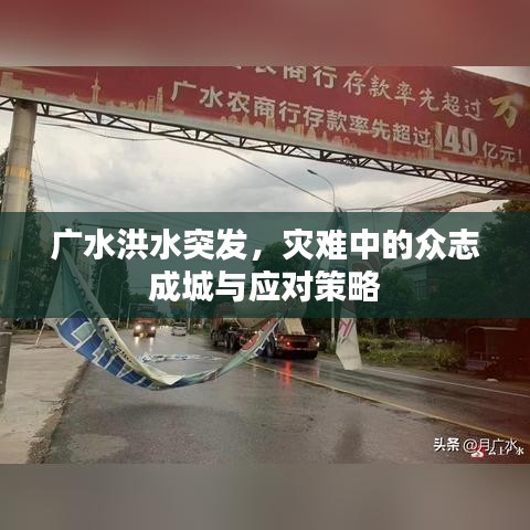 广水洪水突发,灾难中的众志成城与应对策略