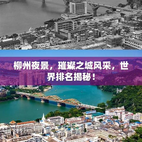 初告白 第3页