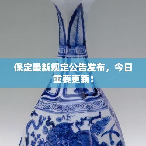 保定最新规定公告发布，今日重要更新！