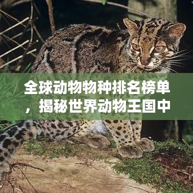全球动物物种排名榜单,揭秘世界动物王国中的顶级生物!