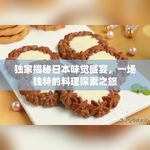 独家揭秘日本味觉盛宴,一场独特的料理探索之旅