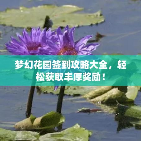 梦幻花园签到攻略大全，轻松获取丰厚奖励！