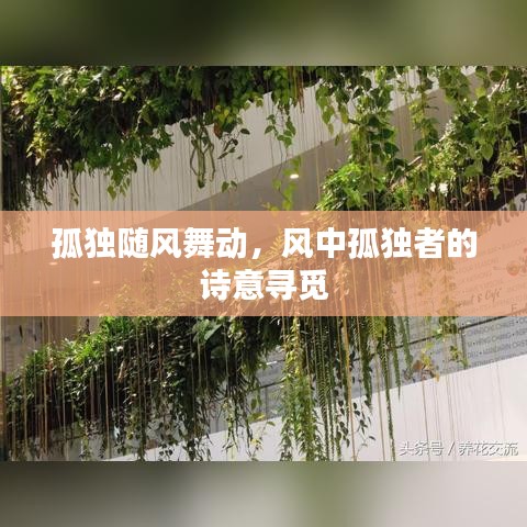 侃侃而谈 第2页