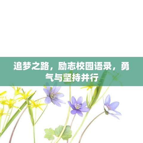 追梦之路，励志校园语录，勇气与坚持并行