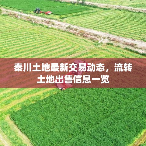 秦川土地最新交易动态，流转土地出售信息一览