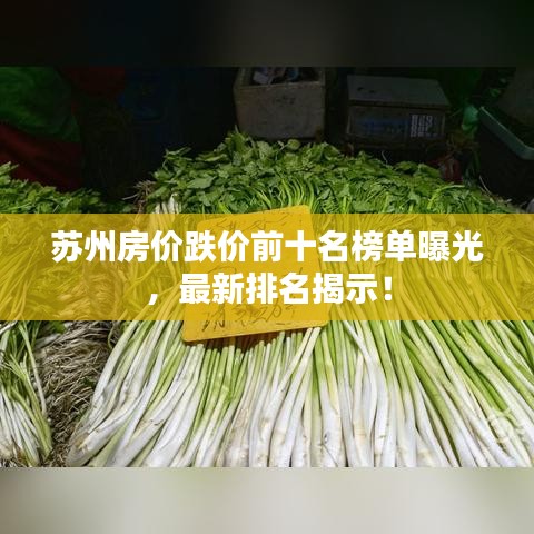 苏州房价跌价前十名榜单曝光,最新排名揭示!