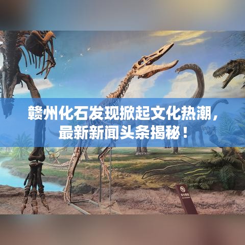 赣州化石发现掀起文化热潮，最新新闻头条揭秘！