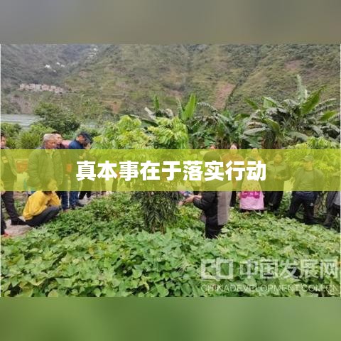 真本事在于落实行动