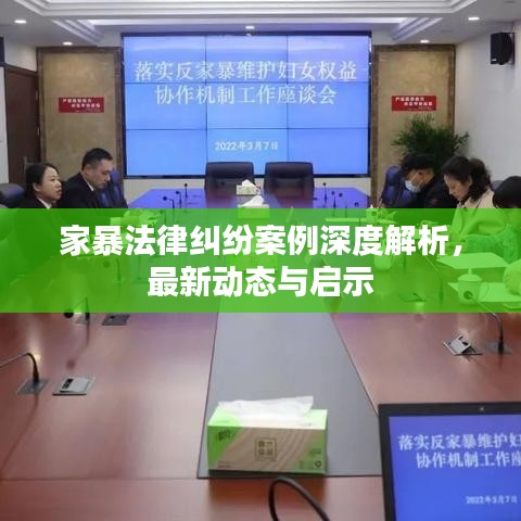 家暴法律纠纷案例深度解析，最新动态与启示
